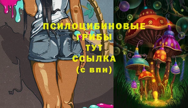 прущая мука Горняк