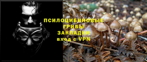 крисы Горно-Алтайск