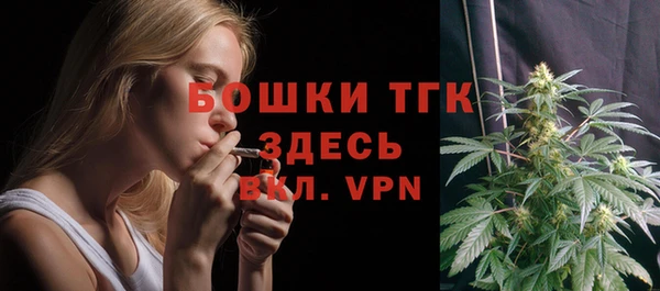 прущая мука Горняк